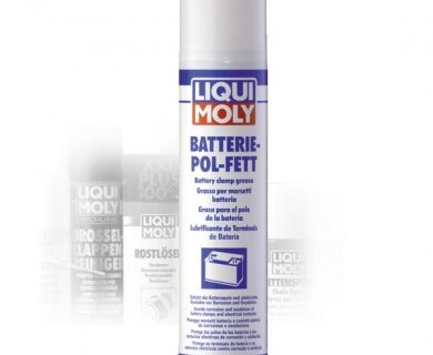 ADITIVO LIQUI MOLY PROTECTOR BORNE BATERIA