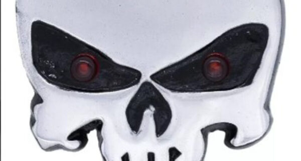 LUMINOSO LED JUSTICIERO CAMION OJOS ROJOS 12V