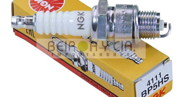 BUJIA NGK BP5HS BRASIL = W8BC